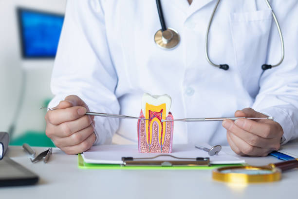 Emergency Dentist for Kids in GA